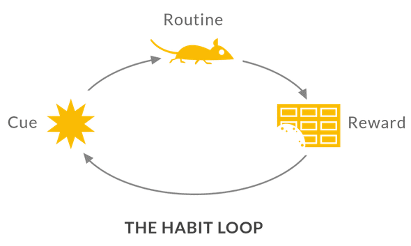 Habit Loop